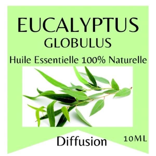 Huile Essentielle Eucalyptus Globulus 100% Pure & Naturelle Contenance 10ml